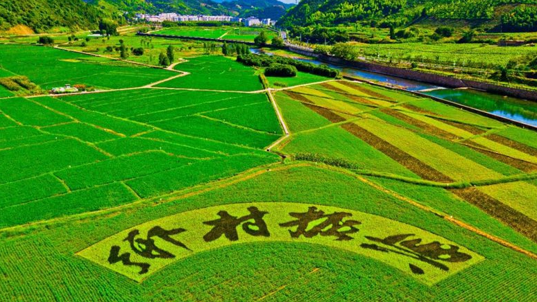 政策解讀｜《中共中央 國(guó)務(wù)院關(guān)于做好2023年全面推進(jìn)鄉(xiāng)村振興重點(diǎn)工作的意見》